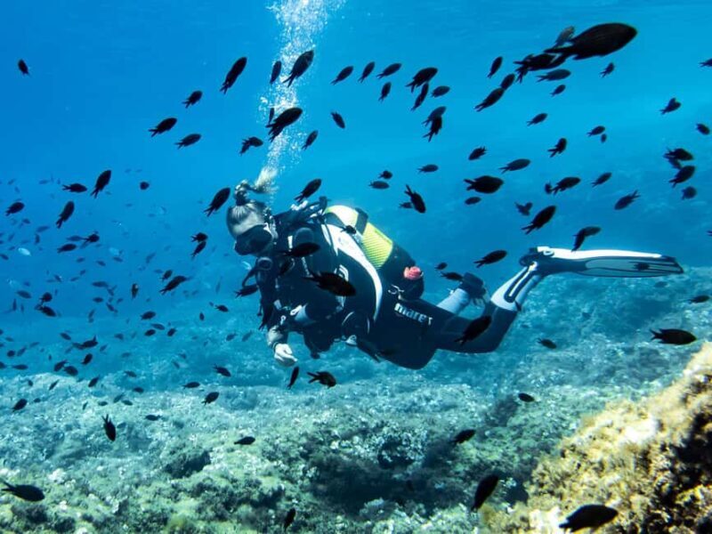 Mallorca: Diving without a license with an instructor from a boat - Cap de Formentor - Mallorca: Diving without a license with an instructor from a boat - Cap de Formentor