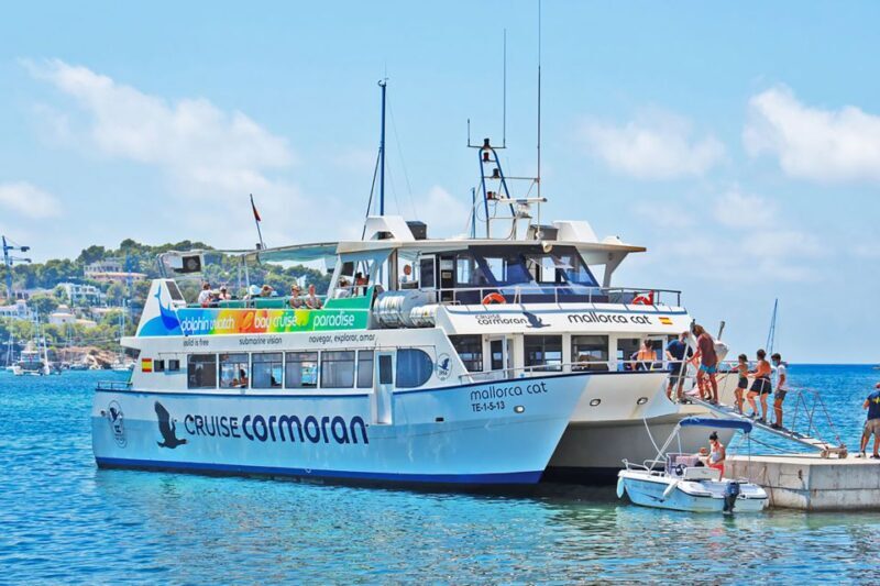 Mallorca: Dolphin Watching Cruise - Who Will Love This Experience?