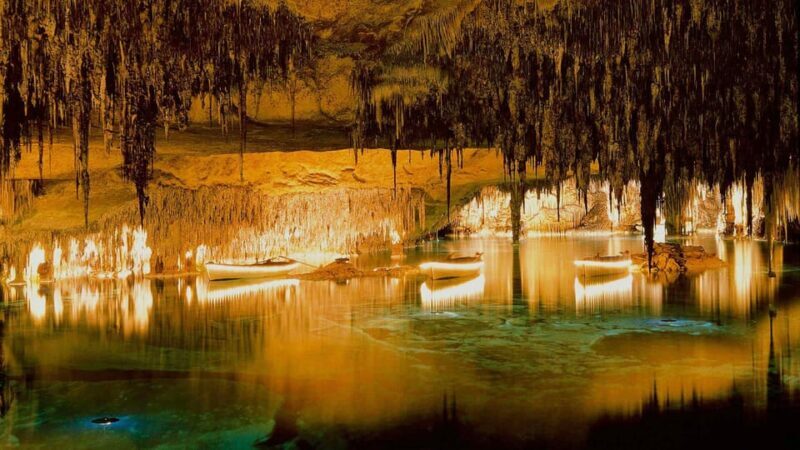 Mallorca: Drach and Hams Caves, and Porto Cristo Day Tour - Authentic Feedback from Travelers