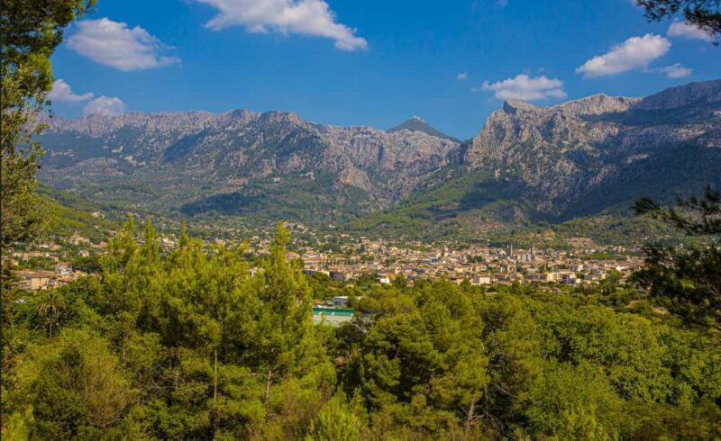 Mallorca: Exclusive Soller Train and Tram Half-Day Tour - Considerations Before Booking