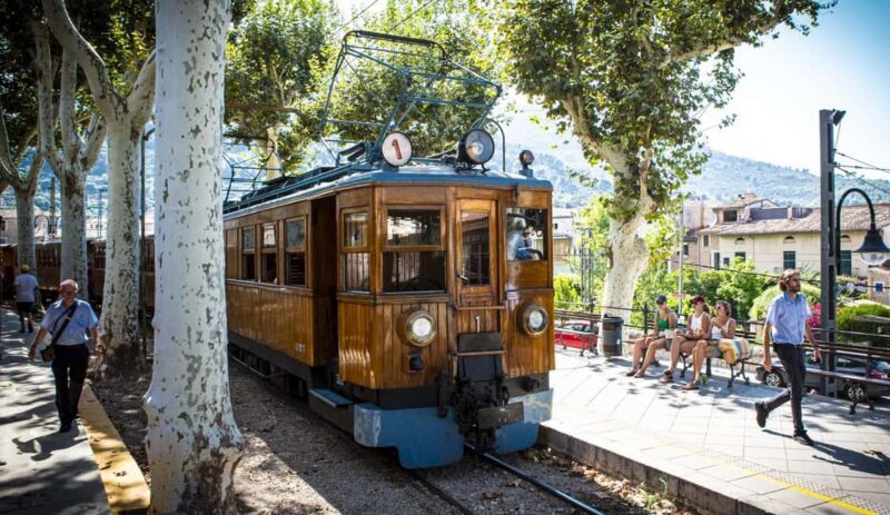 Mallorca: Exclusive Soller Train and Tram Half-Day Tour - Who Is This Tour Best For?