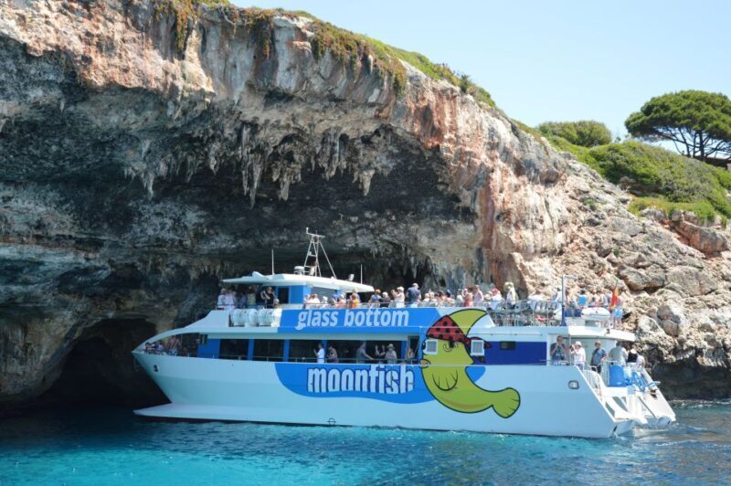 Mallorca: Glass-Bottom Catamaran Along the East Coast - A Close Look at the Experience