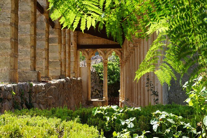 Mallorca Hidden Marvels: Guided Routes for Small Groups - Final Thoughts
