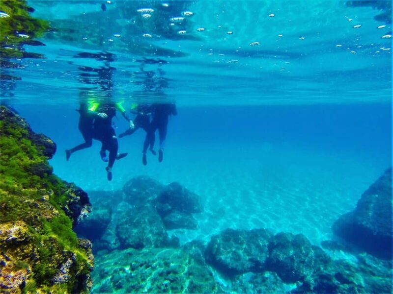 Mallorca: Highlights wild coast tour - The Itinerary in Detail