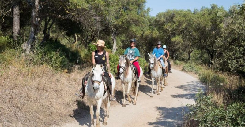 Mallorca: Horseback Riding Excursion and Wine Tasting - Mallorca: Horseback Riding Excursion and Wine Tasting