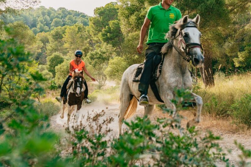 Mallorca: Horseback Riding Experience with Food Options - The Sum Up: Who Will Love This Experience?