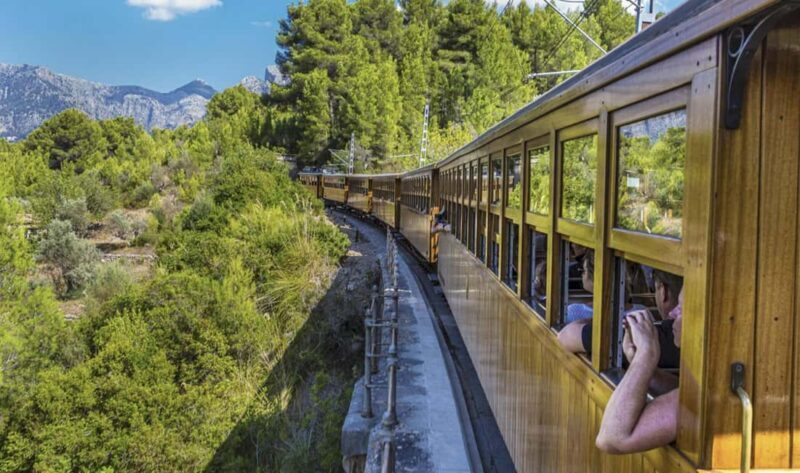 Mallorca Island Tour with Boat, Train, Tram and Bus - In-Depth Review of the Mallorca Island Tour with Boat, Train, Tram, and Bus