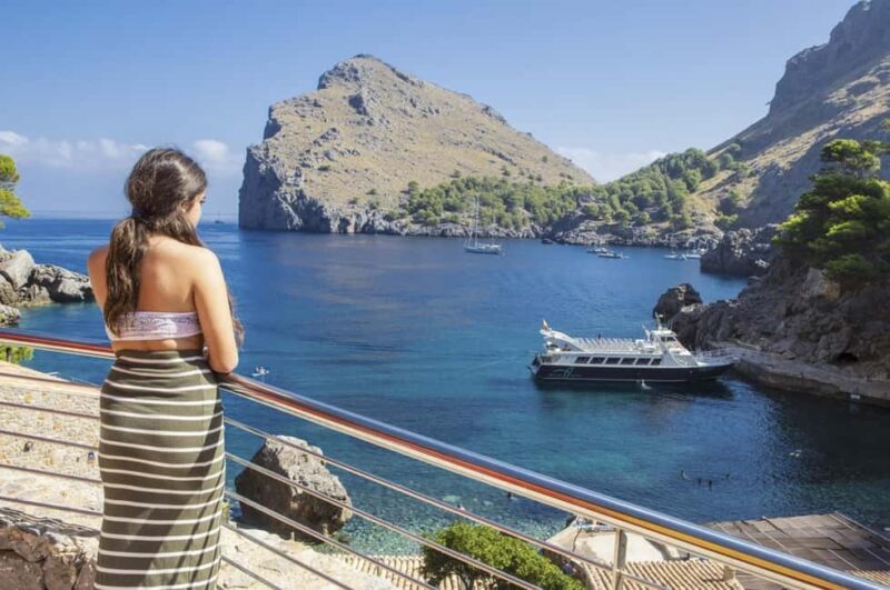 Mallorca Island Tour with Boat, Train, Tram and Bus - Who Will Love This Tour?
