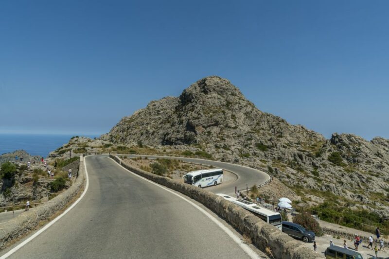 Mallorca: Island Tour with Boat, Tram & Train from the South - The Value Proposition