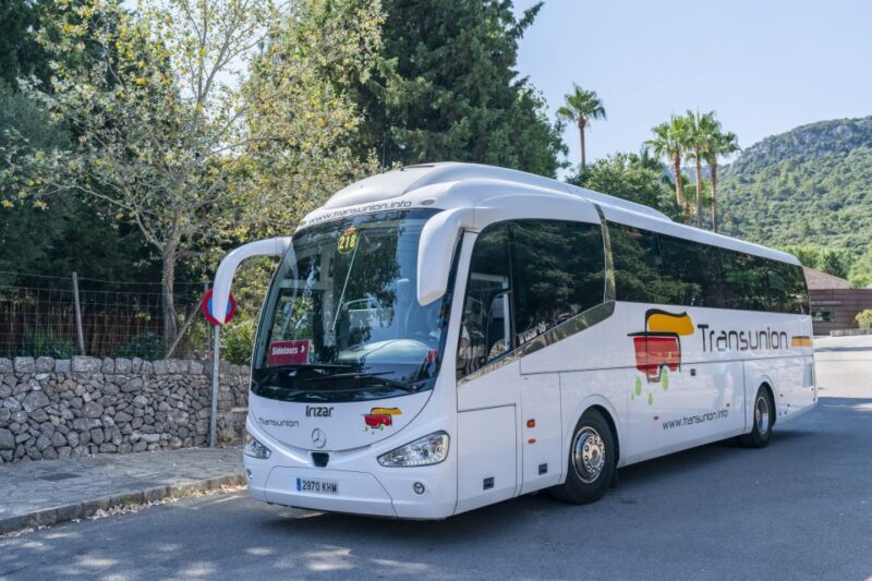 Mallorca: Island Tour with Boat, Tram & Train from the South - Who Will Love This Tour?