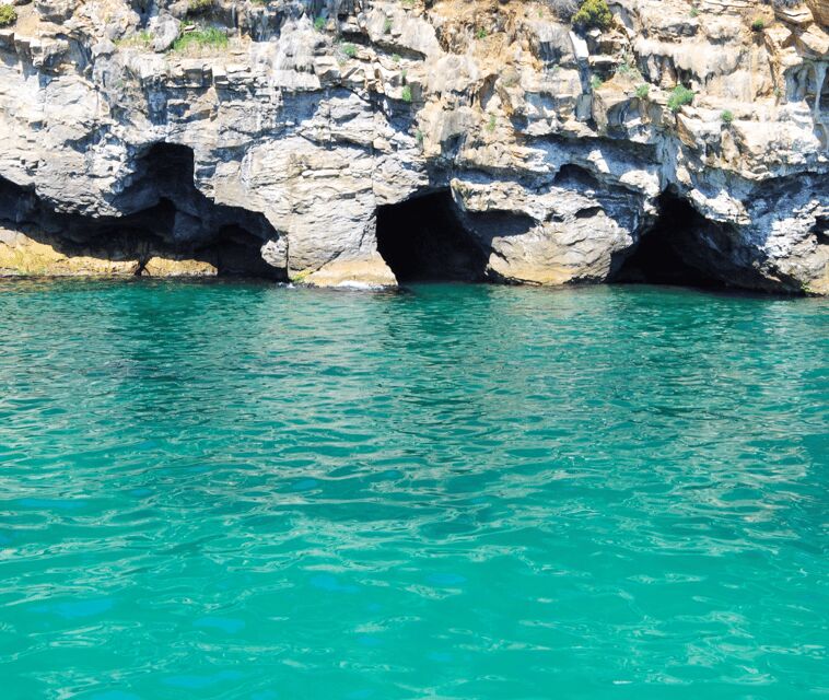 Mallorca Marine reserve: Visit caves, cliffs and snorkeling - Mallorca Marine Reserve: Visit Caves, Cliffs, and Snorkeling