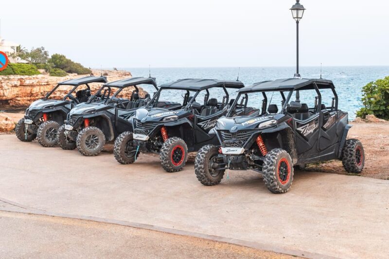 Mallorca: Mountain Buggy Adventure with Secret Coves Tour - Key Points