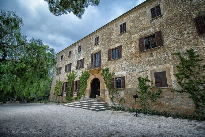 Mallorca Off the Beaten Track - Aloe Vera Farm: A Refreshing Stop
