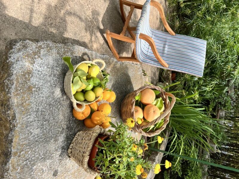 Mallorca Orange Valley Vintage train and orange farm - Final Thoughts: Is This Tour Right for You?