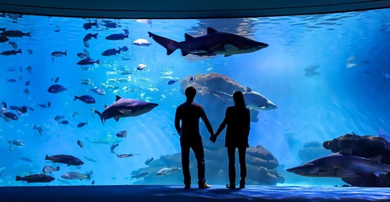 Mallorca: Palma Aquarium Entry Ticket w/ Optional 3D Cinema - A Thorough Look at Palma Aquarium