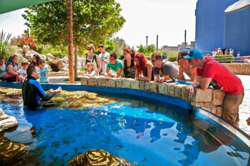 Mallorca: Palma Aquarium Entry Ticket w/ Optional 3D Cinema - Frequently Asked Questions