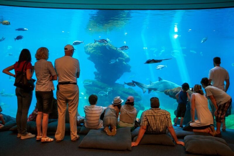 Mallorca: Palma Aquarium Tickets with Transfer - Mallorca: Palma Aquarium Tickets with Transfer – A Practical and Fun Day Out