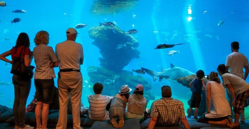 Mallorca: Palma Aquarium Tickets with Transfer - What to Expect: A Practical Breakdown