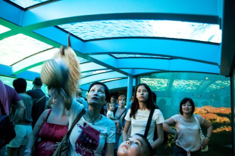 Mallorca: Palma Aquarium Tickets with Transfer - The Sum Up: The Value and Who Will Love It