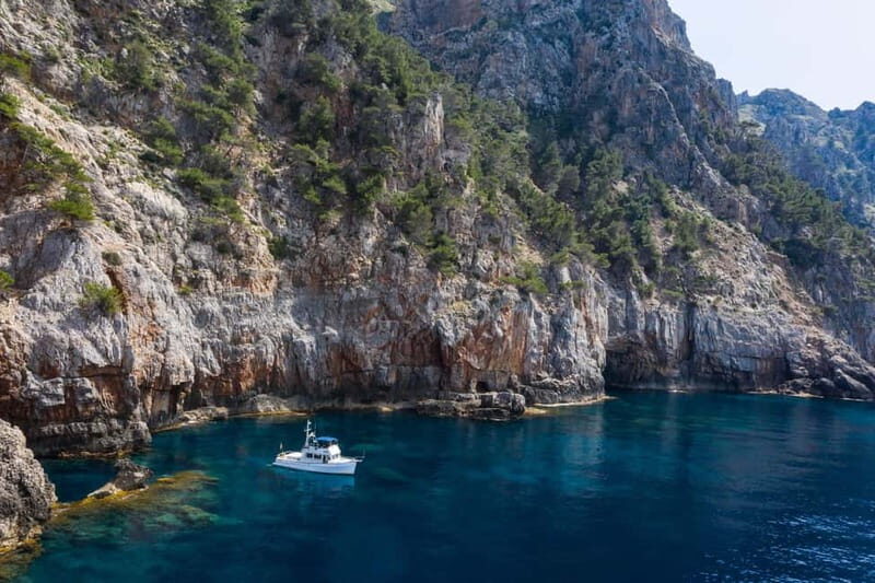 Mallorca: Private boat tour in Palma de Mallorca - What to Expect from Your Mallorca Private Boat Tour