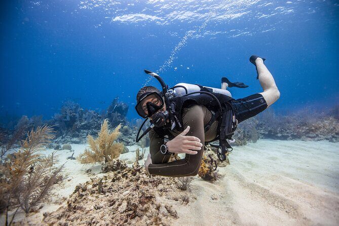 Mallorca PRIVATE Reservation*Scuba dive + photo/video - An In-Depth Look at the Mallorca Private Scuba Tour