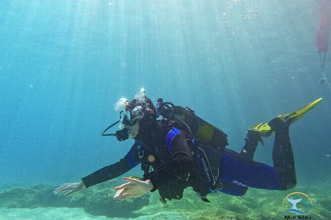 Mallorca PRIVATE Reservation*Scuba dive + photo/video - Practical Information and Tips