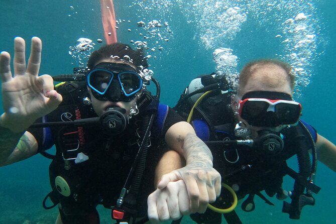 Mallorca PRIVATE Reservation*Scuba dive + photo/video - Authentic Feedback from Travelers