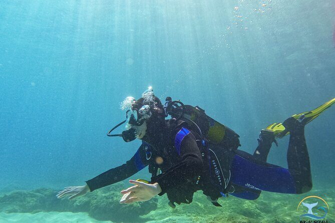 Mallorca PRIVATE Reservation*Scuba dive + photo/video - The Sum Up: Who Is This Tour Best For?