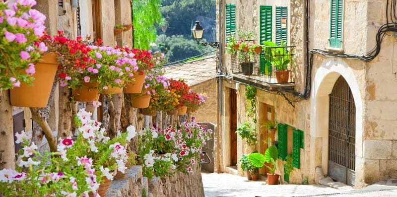 Mallorca: Puerto de Sóller and Valldemossa Morning Trip - Final Thoughts