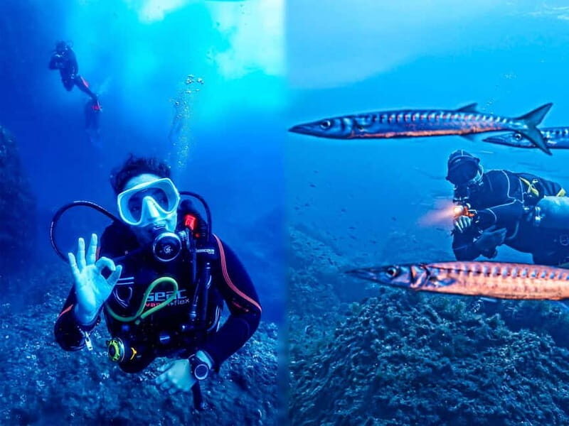 Mallorca: Scuba Dive Adventure Cap de Formentor - 2 dive sites - The Sum Up: Is This Tour Right for You?