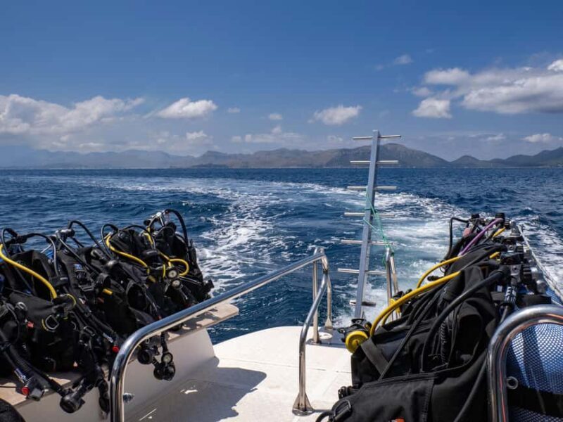 Mallorca: Scuba Dive Adventure Cap Formentor - 1 Dive (license required) - Frequently Asked Questions