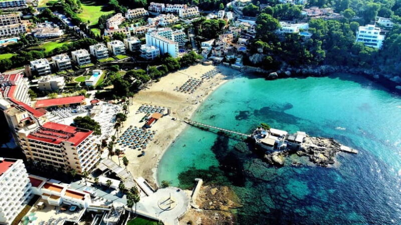 Mallorca: Scuba Diving for Beginners - Why This Experience Offers Good Value