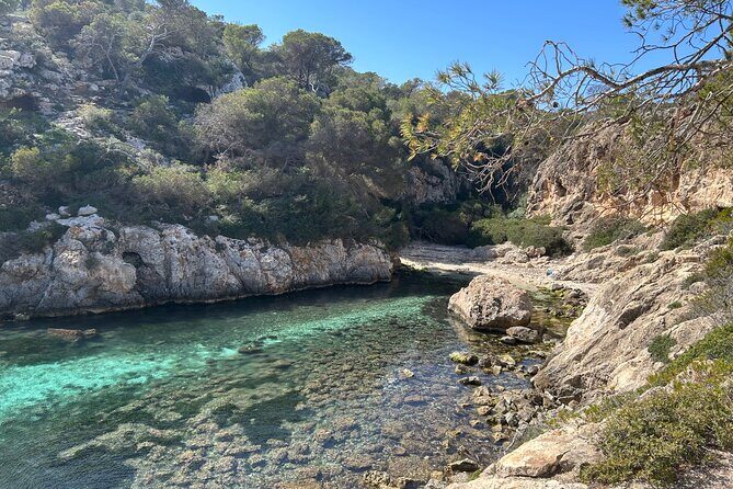 Mallorca Secret Coves Land Rover Private Tour - Why This Tour Offers Good Value
