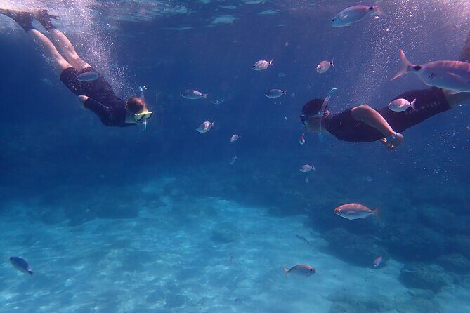 Mallorca: Snorkeling in a Beautiful Nature Reserve - An in-depth look at the Mallorca Snorkeling Tour