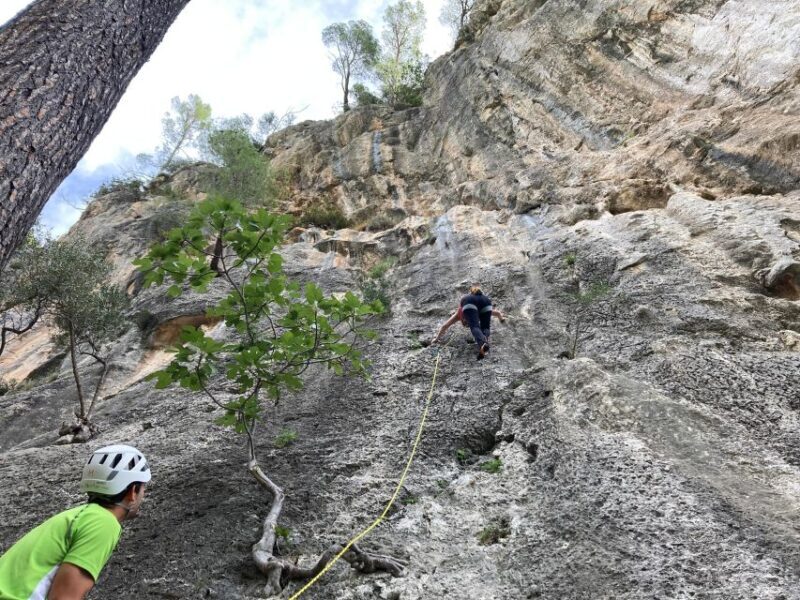 Mallorca: Sport Climbing Day or Course - Exploring Mallorca’s Limestone Cliffs