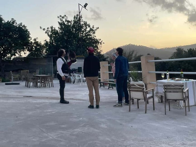 Mallorca: Sunset excursion, horse show, and falconry. - Mallorca: Sunset Excursion, Horse Show, and Falconry – A Rich Blend of Nature, Tradition, and Elegance