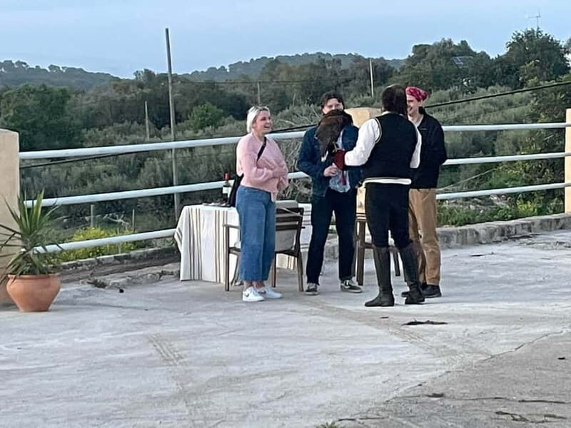 Mallorca: Sunset excursion, horse show, and falconry. - Key Points