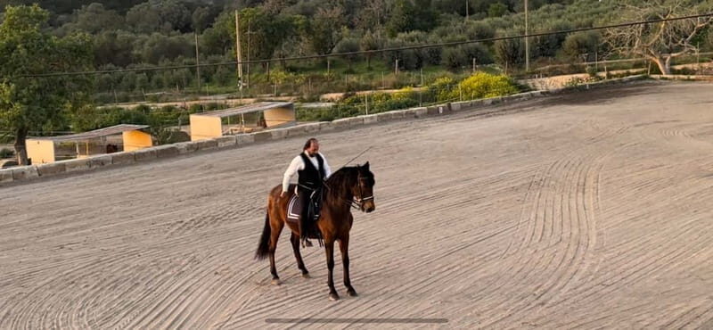 Mallorca: Sunset excursion, horse show, and falconry. - Why This Tour Offers Value