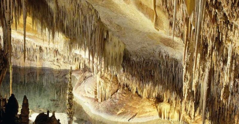 Mallorca: Ticket for Caves of Drach with Pickup Service - The Cave Experience: Natural Beauty and Unique Features