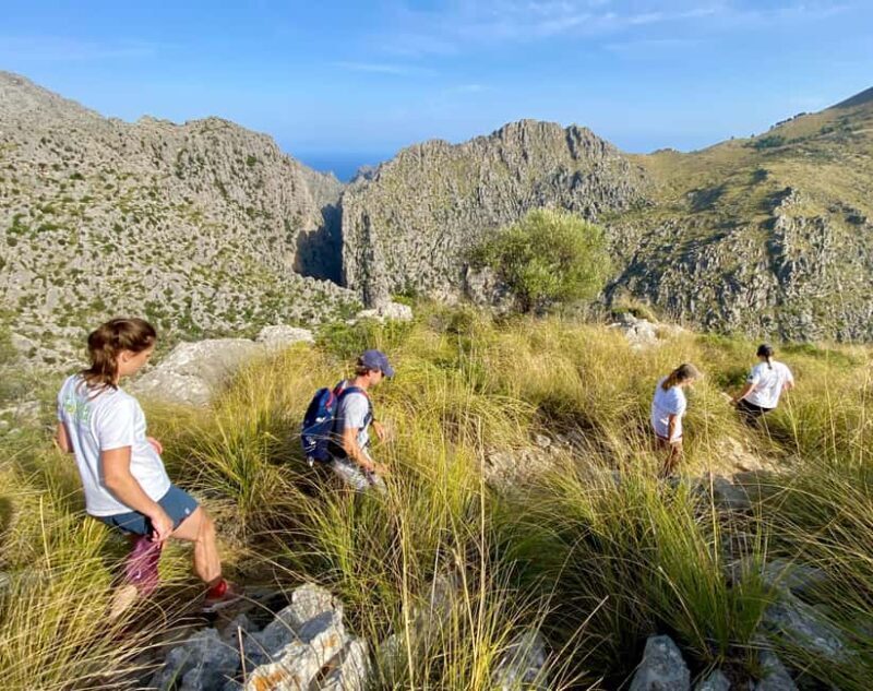 Mallorca: Torrent de Pareis trekking Adventure - Key Points