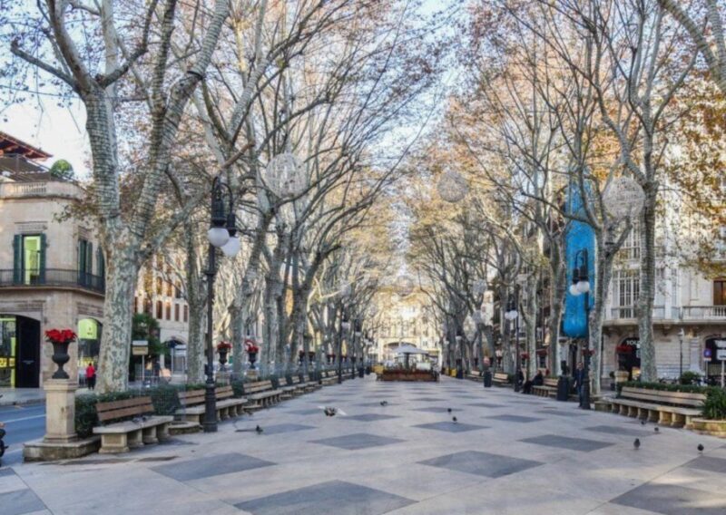 Mallorca: Transfer to Palma self-guided Tour - The Authentic Touch