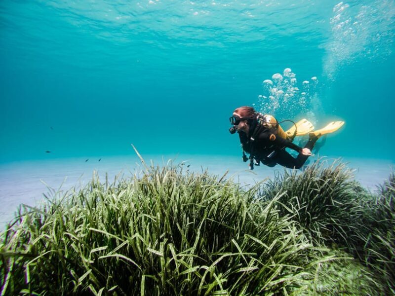 Mallorca: Try Scuba Diving by Boat - A Comprehensive Look at Mallorca’s Try Scuba Experience
