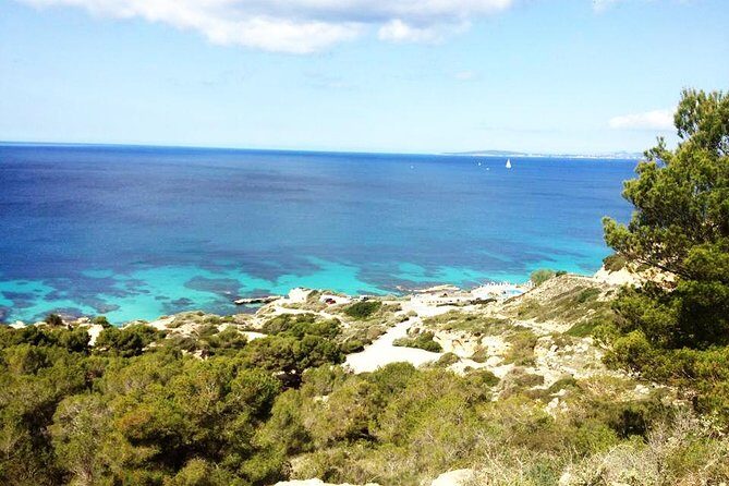 Mallorca: Try Scuba Diving in a Beautiful Nature Reserve - A Closer Look at the Mallorca Beginner Scuba Tour