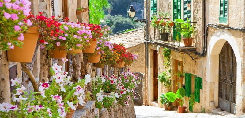 Mallorca: Valldemossa and Wine Tasting - Ultra Small group - Experience Overview