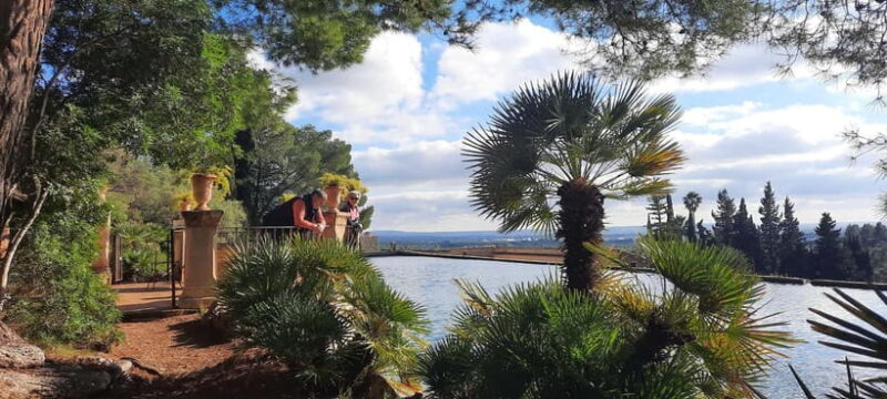 Mallorca: West Coast & Orange Valley Minbustour - Mallorca: West Coast & Orange Valley Minibus Tour — A Detailed Review