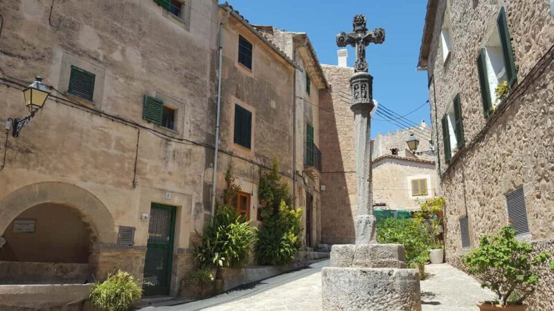 Mallorca: West Coast & Orange Valley Minbustour - Who Will Love This Tour?