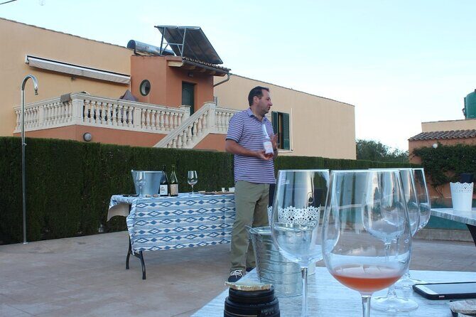 Mallorca Wine and Cheese Tasting - A Detailed Look at the Mallorca Wine and Cheese Tasting Experience