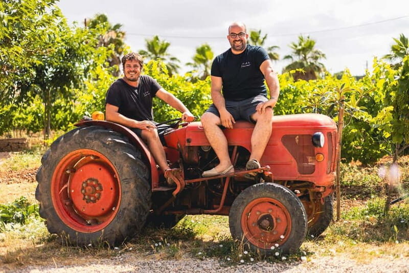 Mallorca: Winery tour and wine tasting with Mallorcan products - A Deeper Look at the Mallorca Winery Tour