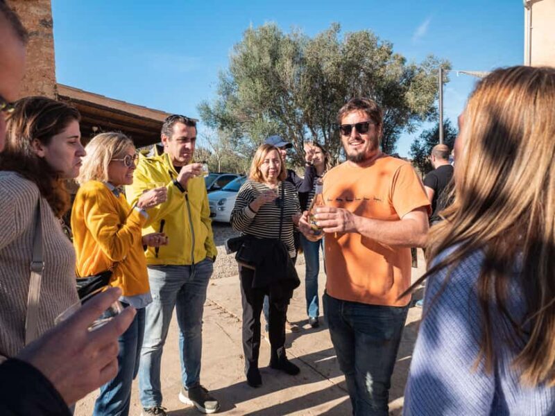 Mallorca: Winery tour and wine tasting with Mallorcan products - Final Thoughts