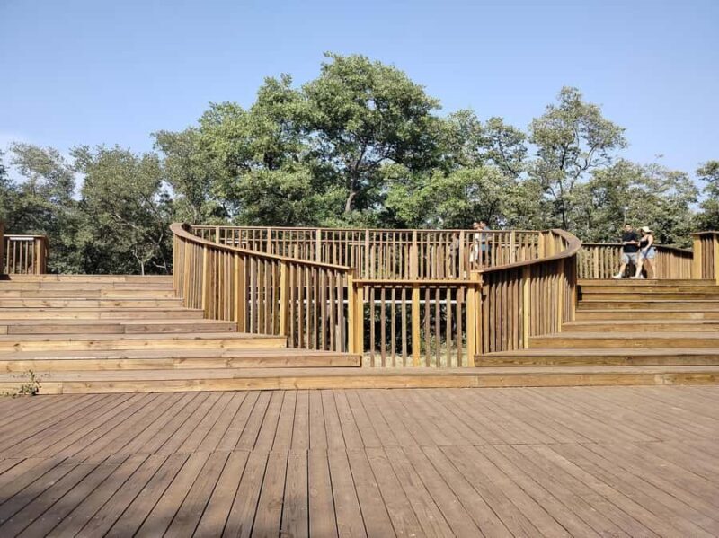 Mallorquin Eco-Park Walking Tour - Key Points